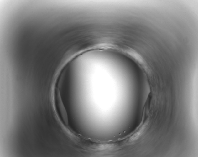 X0000089441430200706221221