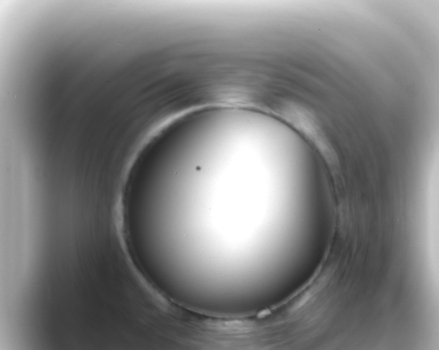 X0000089441432200706221221