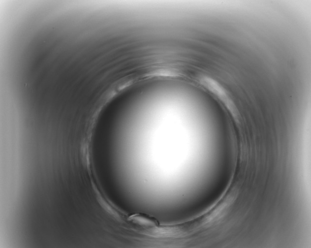 X0000089441433200706221221