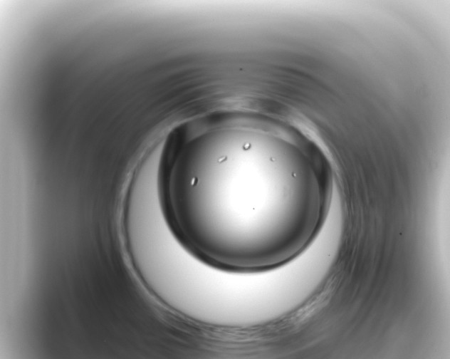 X0000089441434200706221221