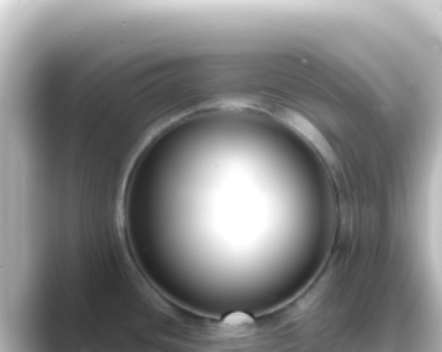 X0000089441436200706221221