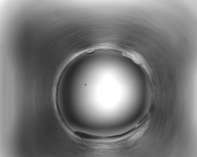 X0000089441438200706221221