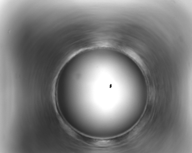 X0000089441439200706221221