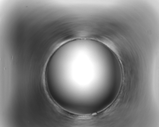 X0000089441440200706221221