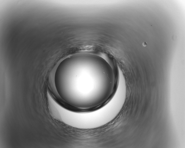 X0000089441441200706221221