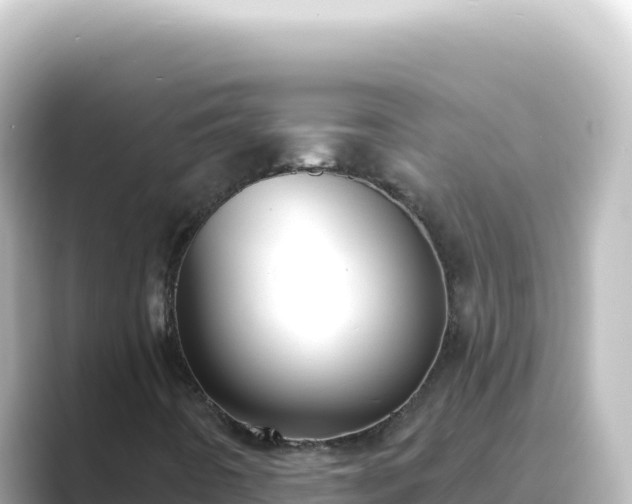 X0000089441442200706221221