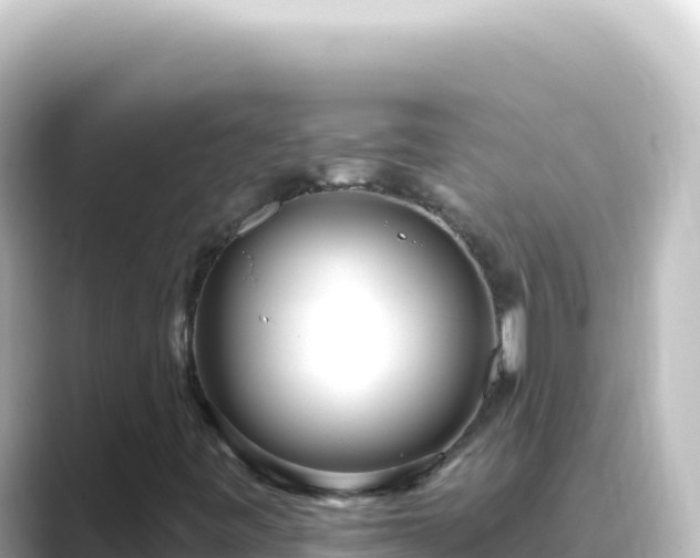 X0000089441443200706221220