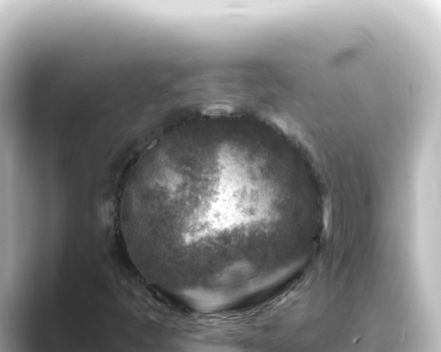 X0000089441445200706221220