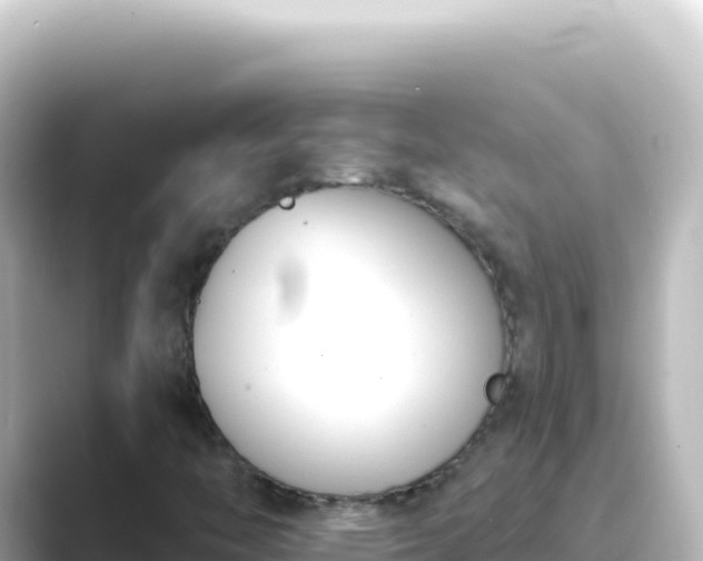 X0000089441446200706221220