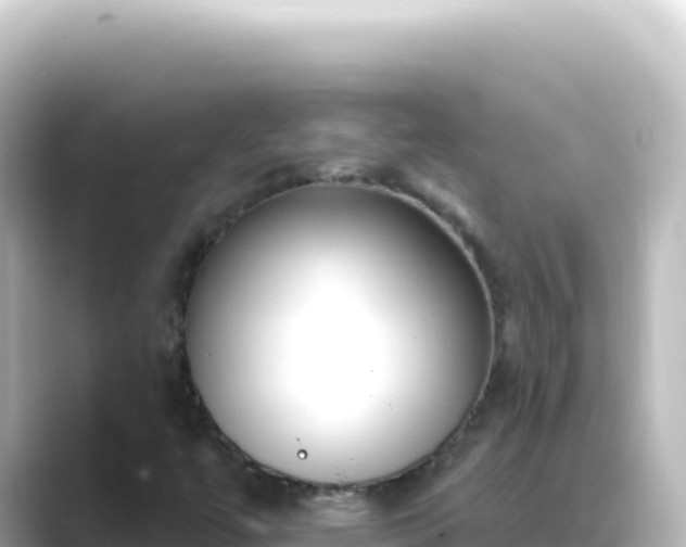 X0000089441447200706221220