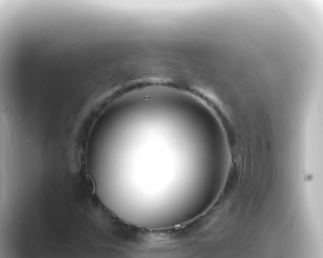 X0000089441448200706221220