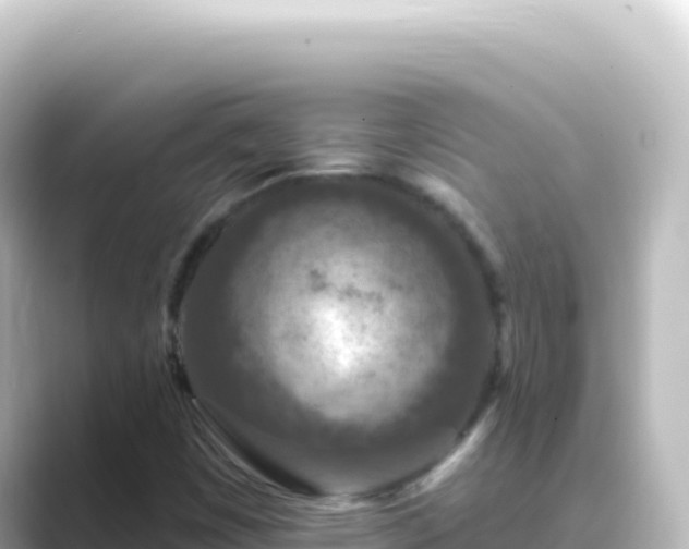 X0000089441449200706221220