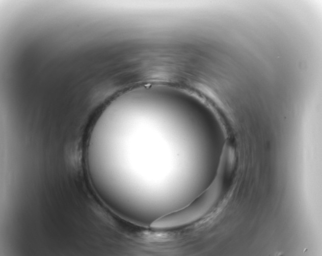 X0000089441450200706221220