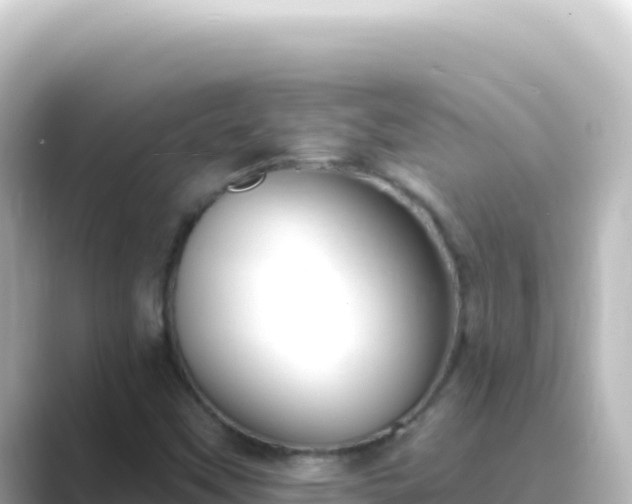 X0000089441451200706221220