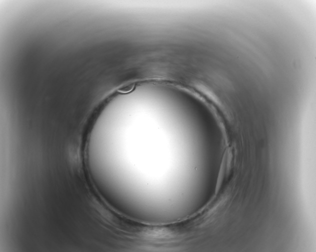 X0000089441452200706221220