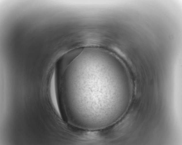 X0000089441453200706221220