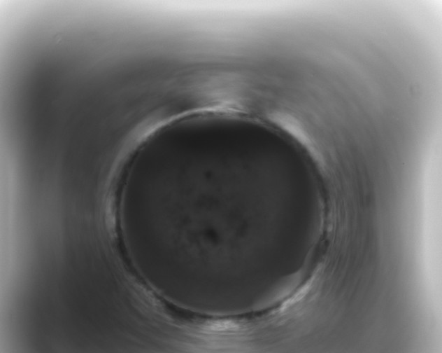 X0000089441455200706221220
