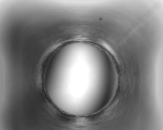 X0000089441456200706221220