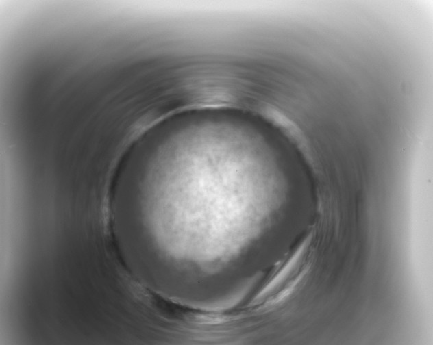 X0000089441457200706221220