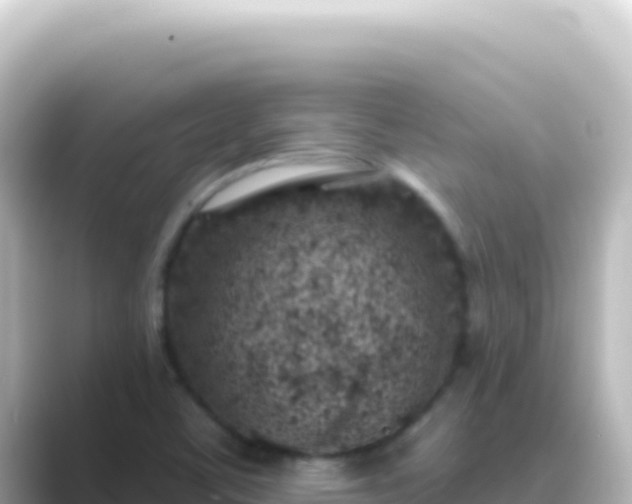 X0000089441459200706221220