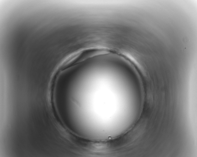 X0000089441460200706221220