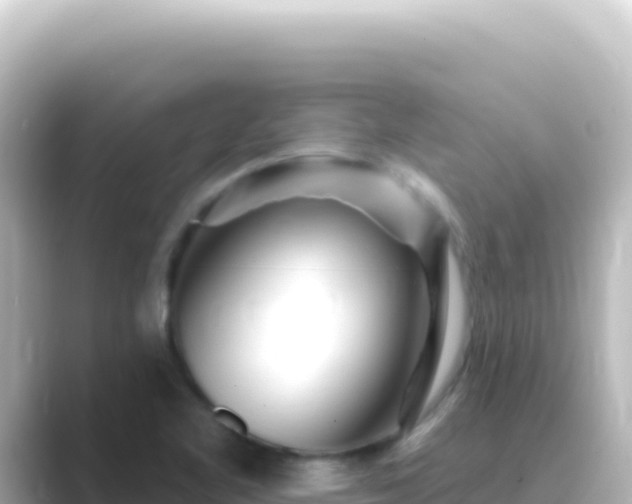X0000089441461200706221220