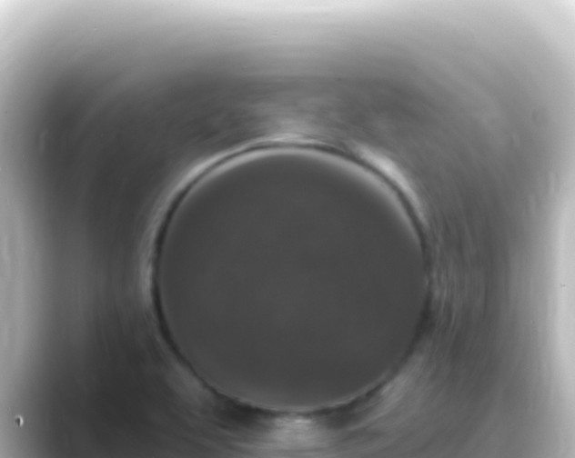 X0000089441463200706221220