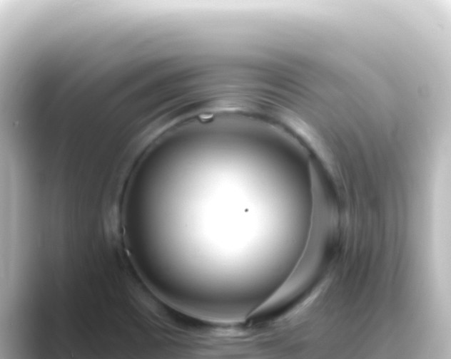 X0000089441465200706221220