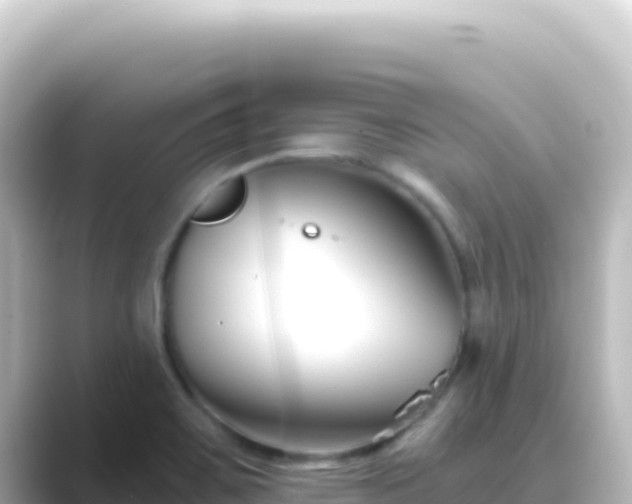 X0000089441467200706221220
