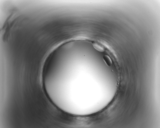 X0000089441469200706221220