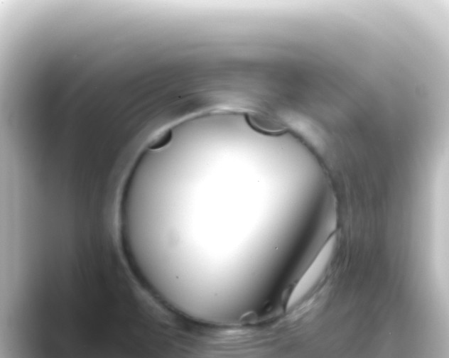 X0000089441471200706221220
