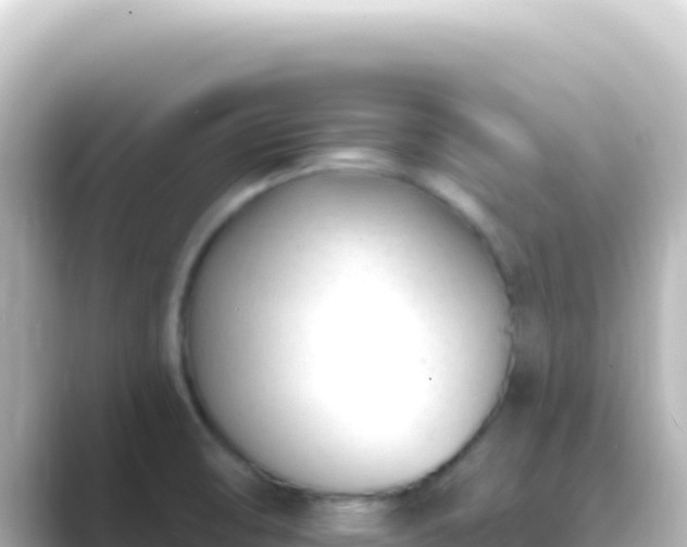 X0000089441474200706221220