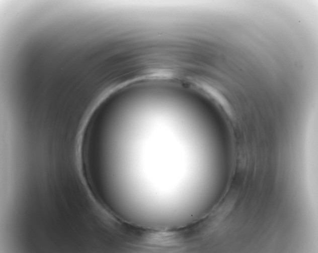 X0000089441475200706221220