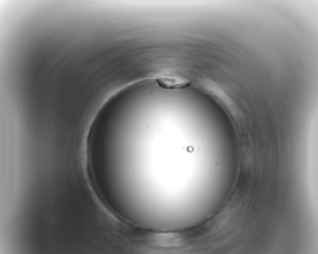 X0000089441479200706221220