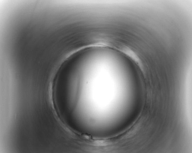 X0000089441480200706221220