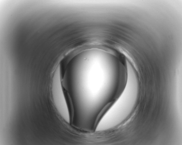 X0000089441481200706221220