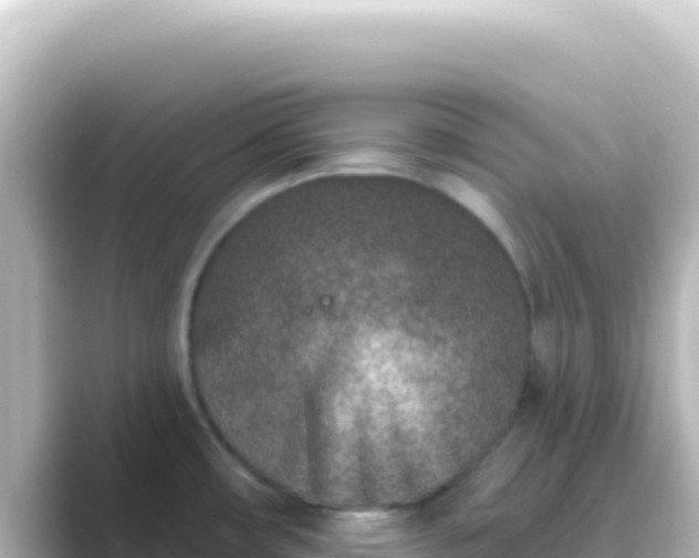 X0000089441482200706221220