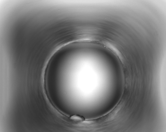 X0000089441483200706221220