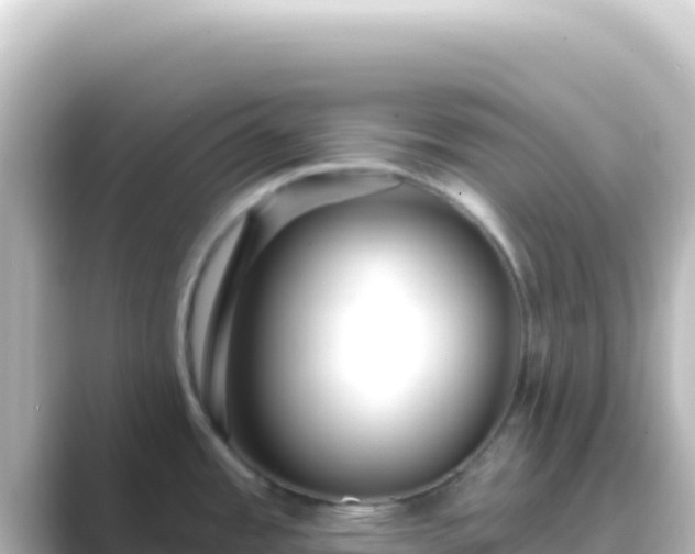 X0000089441485200706221220