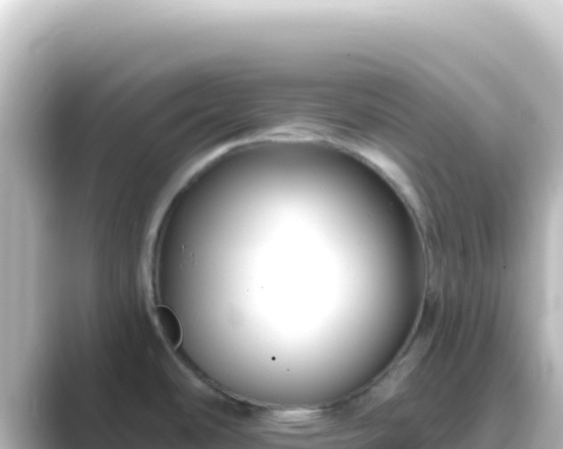 X0000089441486200706221220