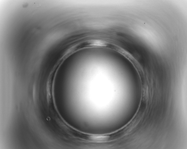 X0000089441487200706221220