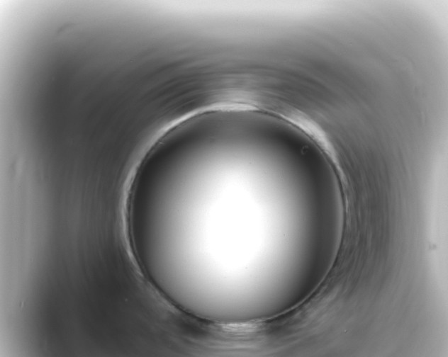 X0000089441488200706221220