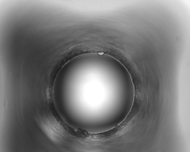 X0000089441490200706221219