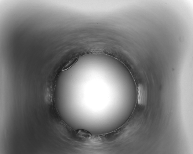 X0000089441491200706221219
