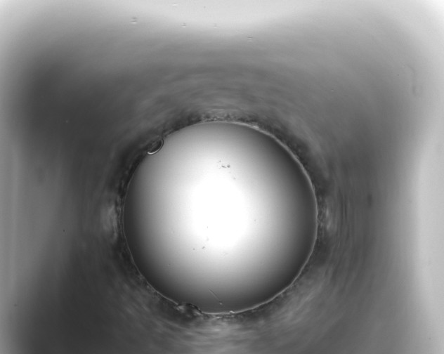 X0000089441493200706221219