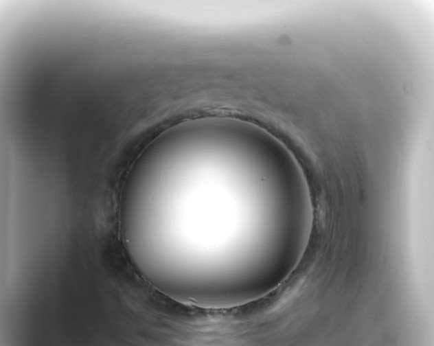 X0000089441494200706221219