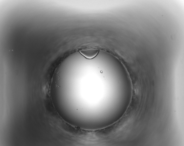 X0000089441495200706221219