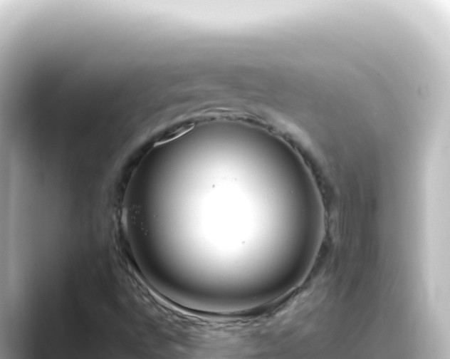 X0000089441496200706221219