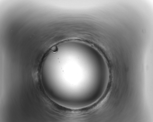 X0000089441497200706221220