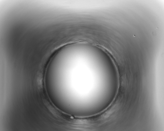 X0000089441499200706221220